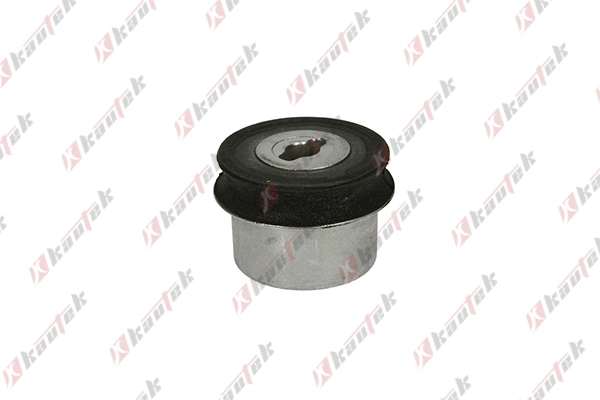 Mounting, wheel bearing housing (OP-BS060)