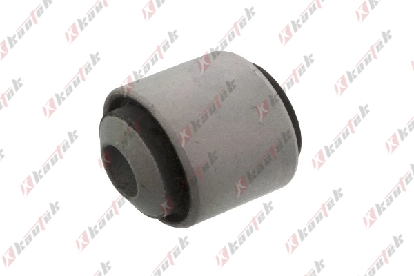 Mounting, control/trailing arm (AU-BS138)
