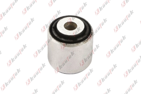 Mounting, control/trailing arm (AU-BS108)