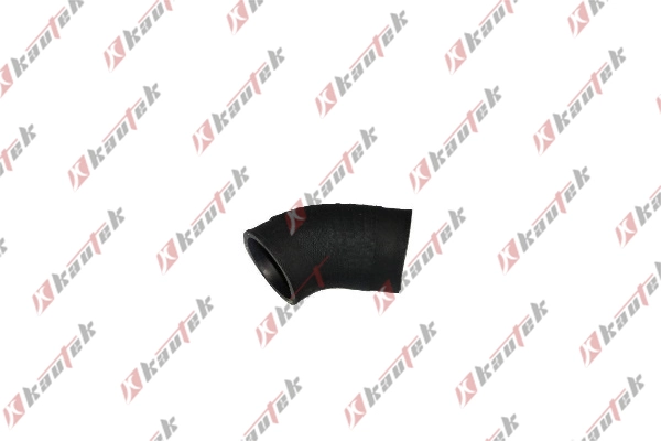 Charge Air Hose (LR-TH017)