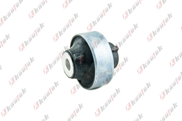 Mounting, control/trailing arm (NI-BS014)