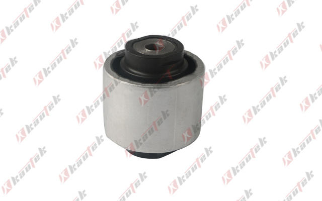 Mounting, control/trailing arm (AF-BS029)