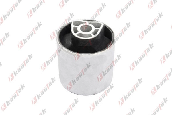 Mounting, control/trailing arm (BM-BS158)