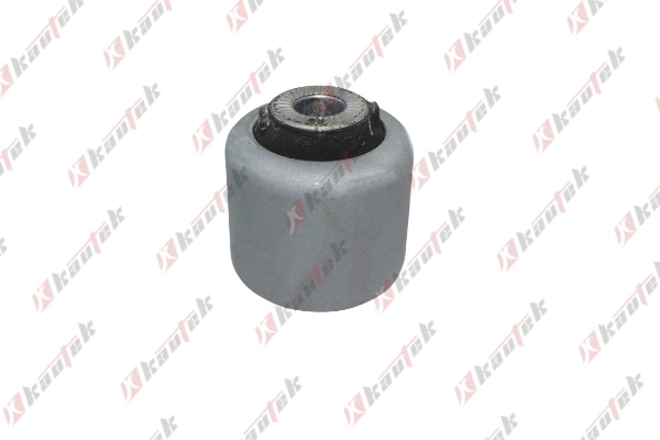 Mounting, control/trailing arm (BM-BS114)