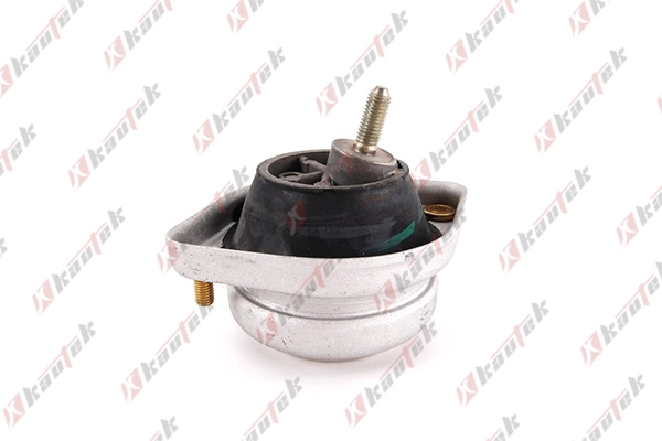 Mounting, engine (BM-EM014)