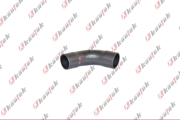 Charge Air Hose (BM-TH019)