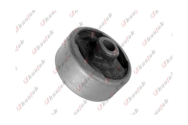 Mounting, control/trailing arm (FD-BS014)