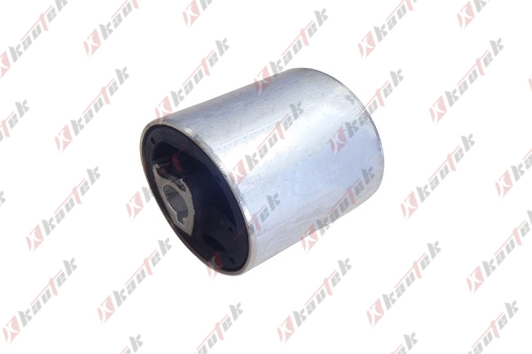 Mounting, control/trailing arm (BM-BS143)