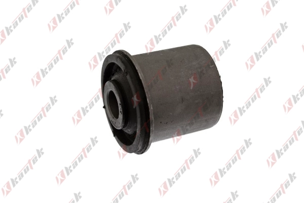 Mounting, control/trailing arm (NI-BS058)