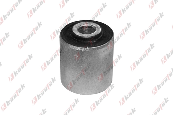 Mounting, control/trailing arm (VW-BS033)