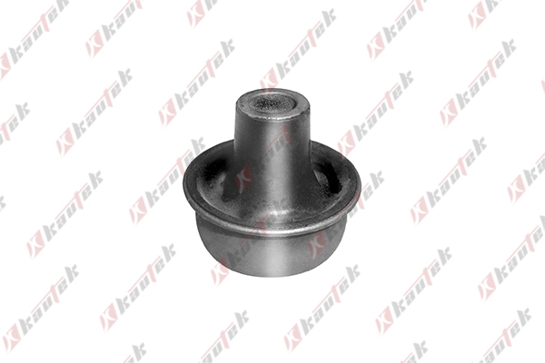 Mounting, control/trailing arm (OP-BS038)
