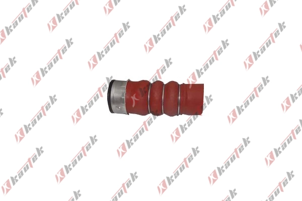 Charge Air Hose (BM-TH011)