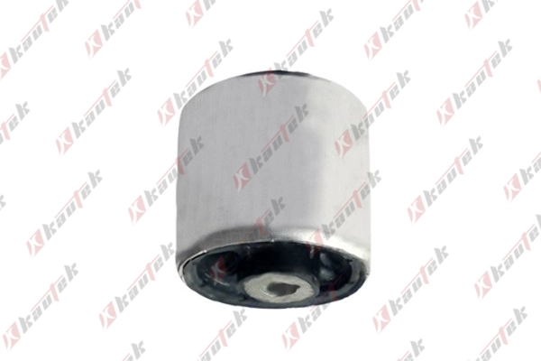 Mounting, control/trailing arm (AU-BS106)