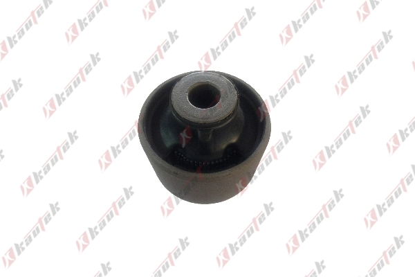 Mounting, control/trailing arm (NI-BS045)