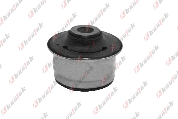 Mounting, control/trailing arm (DO-BS004)