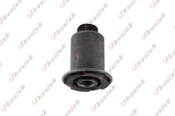 Mounting, control/trailing arm (FI-BS093)