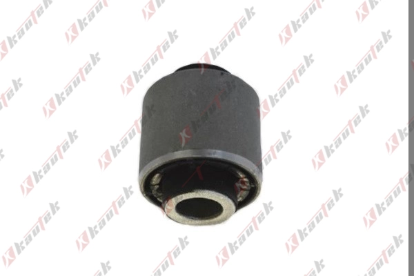 Mounting, control/trailing arm (OP-BS116)