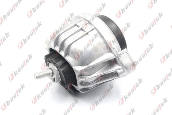 Mounting, engine (BM-EM018)