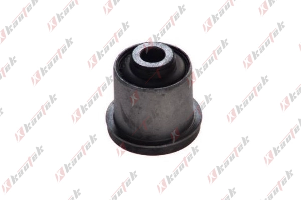 Mounting, control/trailing arm (MI-BS029)