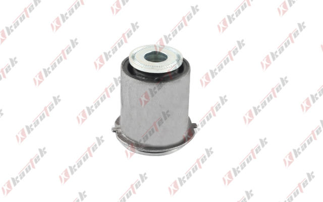 Mounting, control/trailing arm (FD-BS259)