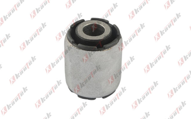Mounting, control/trailing arm (FD-BS273)