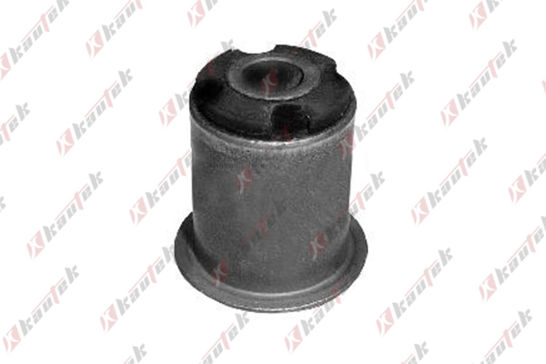 Mounting, control/trailing arm (PE-BS035)