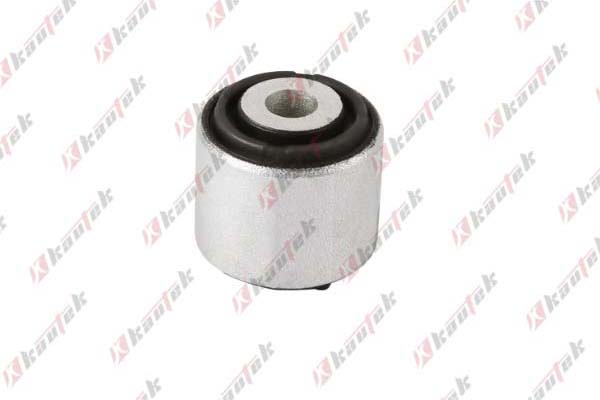 Mounting, control/trailing arm (AU-BS110)