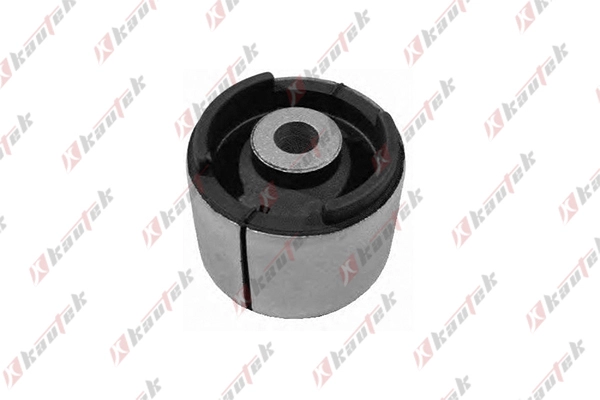 Mounting, control/trailing arm (BM-BS031)