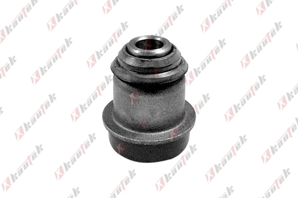 Mounting, control/trailing arm (NI-BS020)