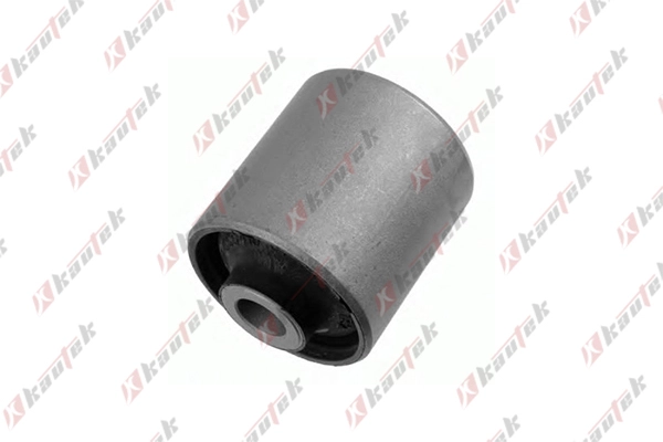 Bushing, axle bracket (FI-BS056)