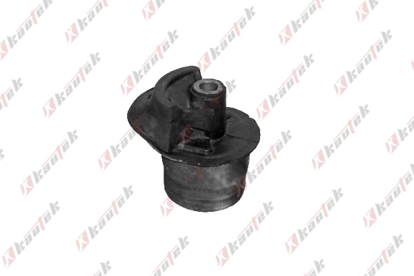 Bushing, axle bracket (TO-BS065)