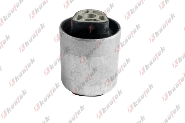 Mounting, control/trailing arm (BM-BS145)