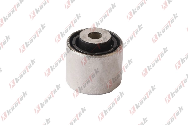 Mounting, control/trailing arm (AU-BS115)