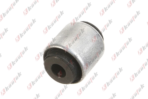 Mounting, control/trailing arm (AU-BS052)