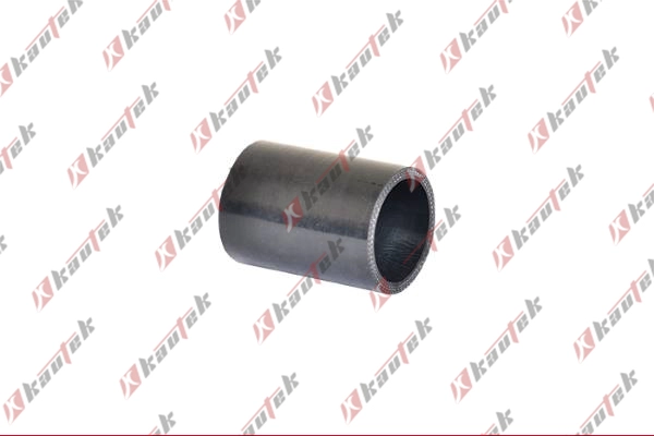 Charge Air Hose (NI-TH010)