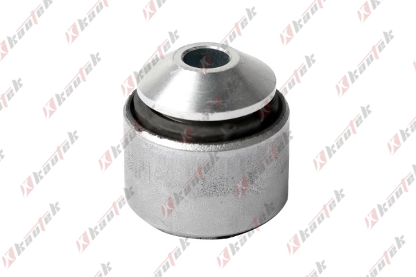 Mounting, control/trailing arm (FD-BS169)