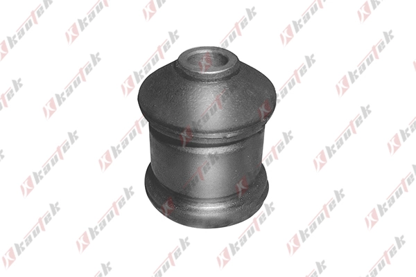 Mounting, control/trailing arm (OP-BS050)