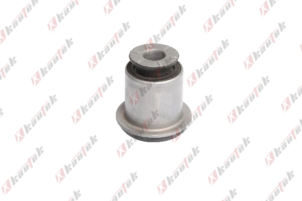 Mounting, control/trailing arm (CI-BS051)