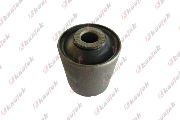Mounting, control/trailing arm (LR-BS012)