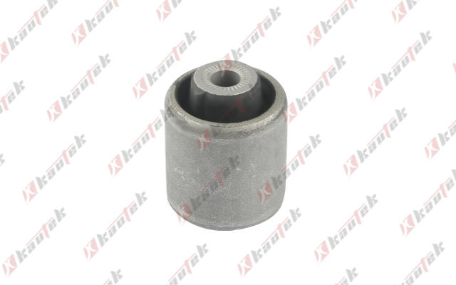 Mounting, control/trailing arm (BM-BS191)