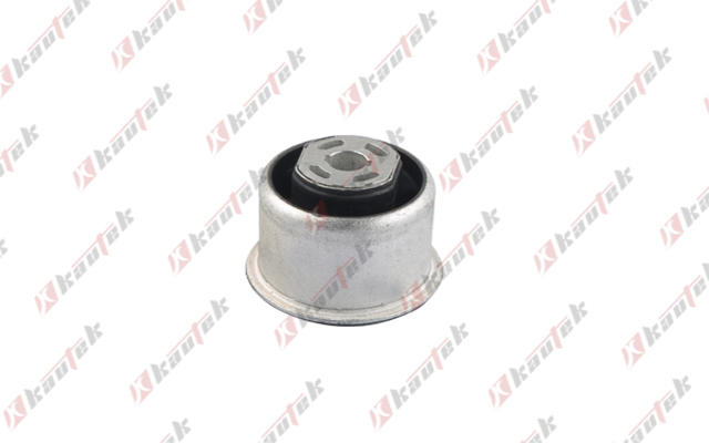 Mounting, control/trailing arm (AF-BS035)