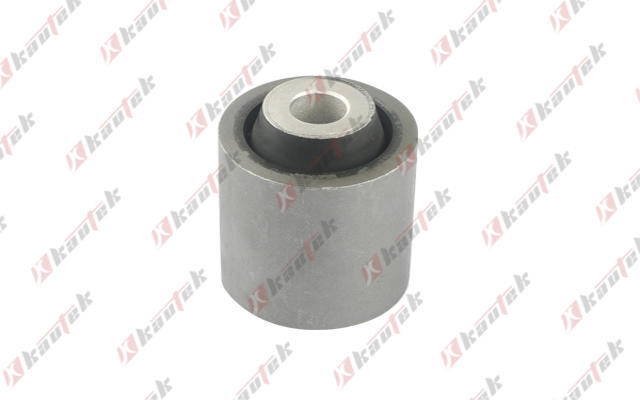 Mounting, control/trailing arm (LR-BS060)