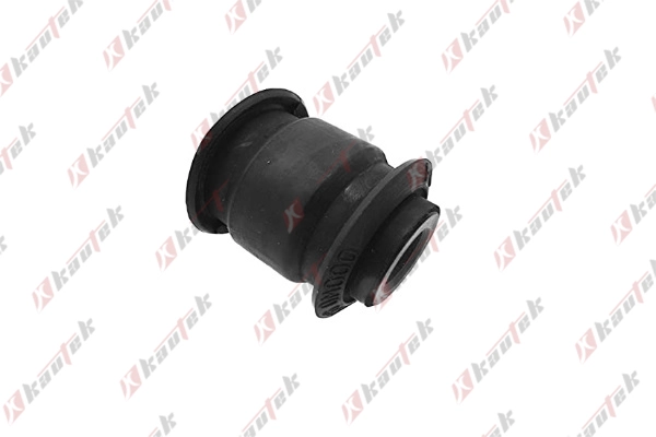 Mounting, control/trailing arm (NI-BS116)