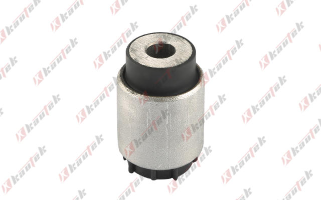 Mounting, control/trailing arm (OP-BS140)