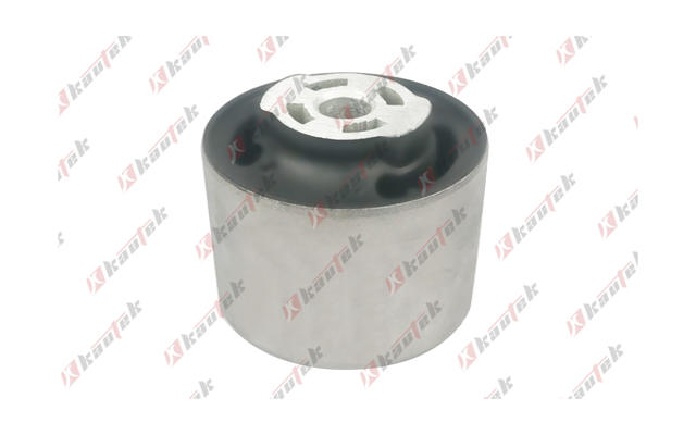 Mounting, control/trailing arm (TS-BS002)