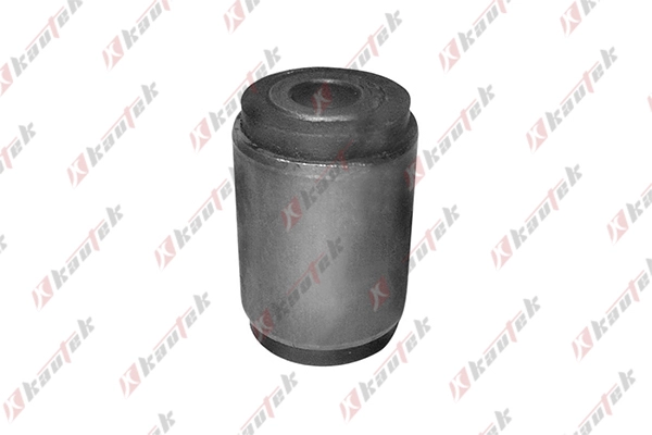 Mounting, control/trailing arm (FI-BS035)