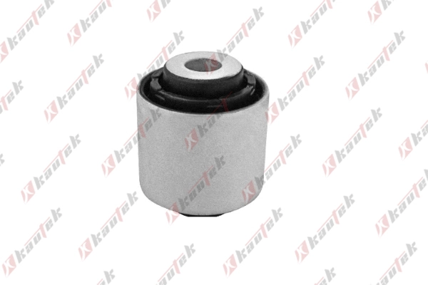 Mounting, control/trailing arm (BM-BS131)
