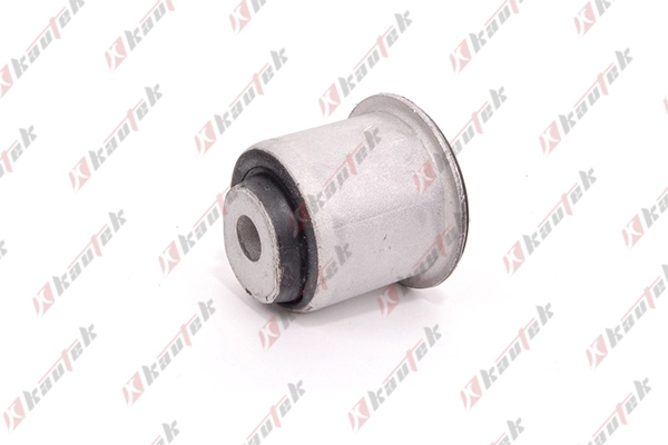 Mounting, control/trailing arm (AU-BS045)