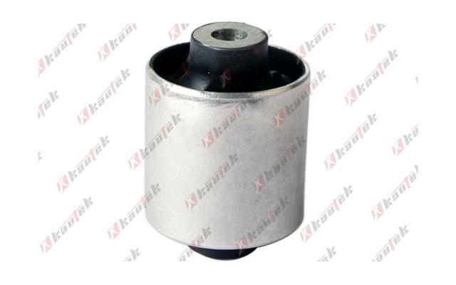 Mounting, control/trailing arm (BM-BS149)