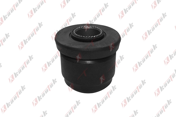 Mounting, control/trailing arm (NI-BS006)